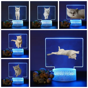 Симпатичный кот сентябрьский акриловый светодиодный ночник для декора детской комнаты Мальчики Девочки Подарок на день рождения